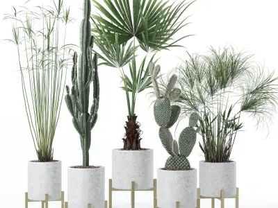 20 Photorealistic Flowers for Interiors - set 120 123 137 142 3D Model Collection