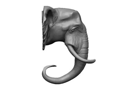 elephant head 3D print model order