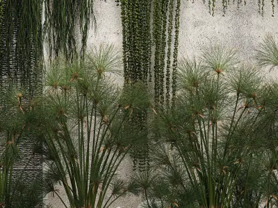 Garden And Tropical Flowerbed With Hanging Plants 3D model