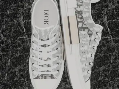DIOR B23 LOW TOP LOGO OBLIQUE 3D SHOES SNEAKERS 3D model