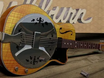 Washburn R60 Resonator Guitar 3D model