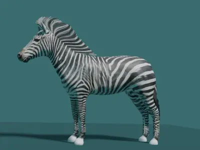 ZEBRA Low-poly 3D model buy