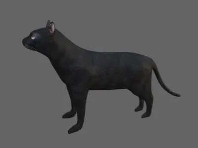 Black Cat - Low and High Detail - Gato Preto Low-poly 3D model