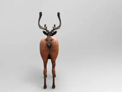 3D Reindeer game ready elk with antlers Low-poly 3D model