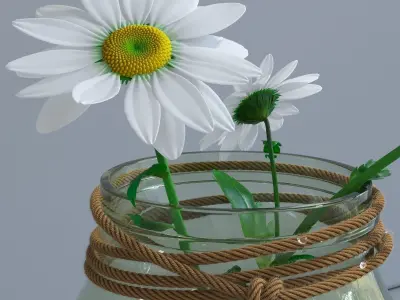 Spring daisy set 3D model