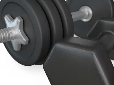 Dumbbells 3D model
