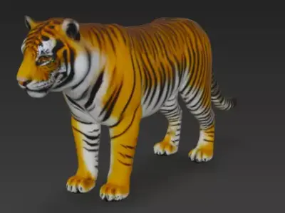 Bengal Tiger 3d Model 3D model