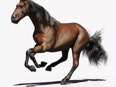 Horse animated 3D model