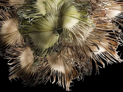 wreath bouquet of dry branches of palm leaves 309 3D model