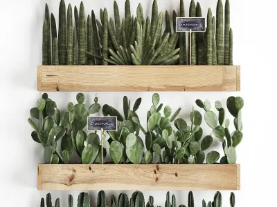 Cactus set wall decor vertical garden 42 3D model