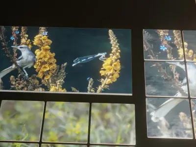 Nature Photo Tiles for modern Kitchens and Bathrooms frames Low-poly 3D model