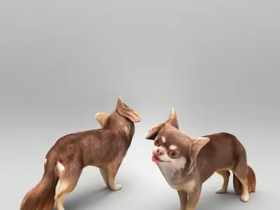 Funny dog 29 Low-poly 3D model