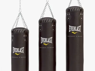 Punching Bag Set 3D model