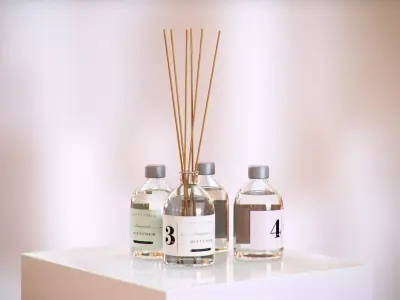 Air reed diffuser HG2 3D model