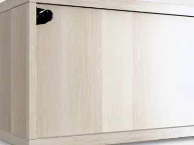 BESTA Shelf unit with glass door 4 3D model