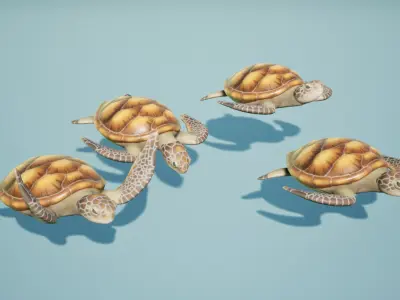 Sea turtle Low-poly 3D model 3