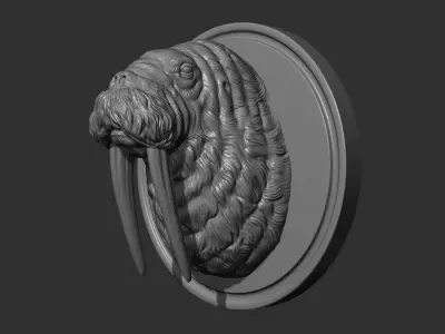 Walrus head 3D print model