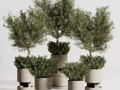 Indoor plant stant 79 3D model