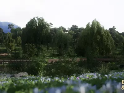 Willow Lake Biome Environment Low-poly 3D model