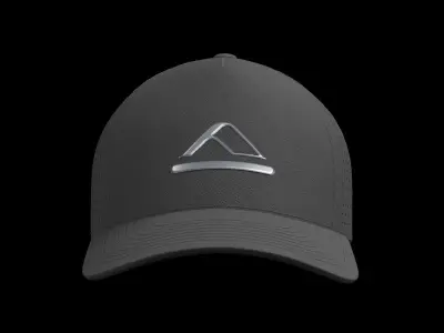 Flex Hat Black  3D model