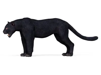 Black Panther Low-poly 3D model