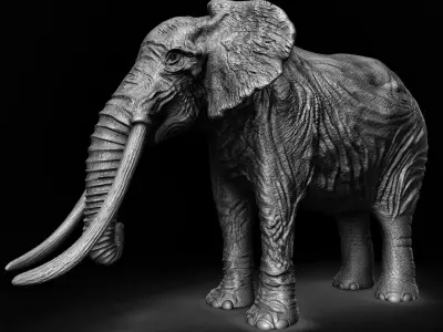 ELEPHANT with tusks Low-poly 3D model order