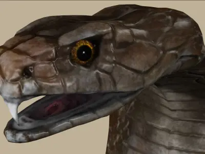 COBRA SNAKE RIGGED ANIMATED 7 Low-poly 3D model