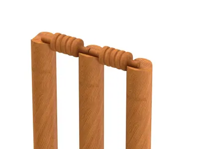 Cricket Wicket 3D model