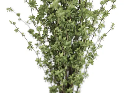 Bouquet 54 3D model