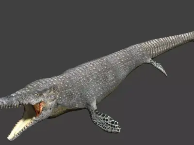 Mosasaurus Low-poly 3D model