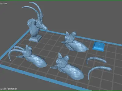 Sable Black Antelope bust 3D print model