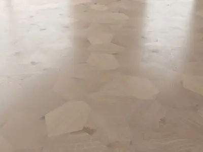 Parquet Oak Vergne Brushed set 7 3D model