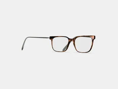 Caleb Eyeglasses in Woodgrain Tortoise with Polished Silver 3D model