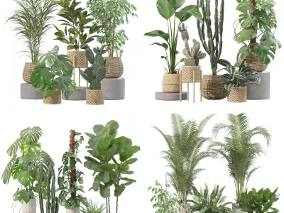 20 Photorealistic Flowers for Interiors - set 210 211 212 213 3D Model Collection