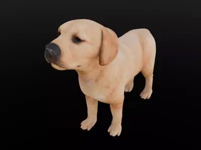 Puppy Animated Rigged  Low-poly 3D model