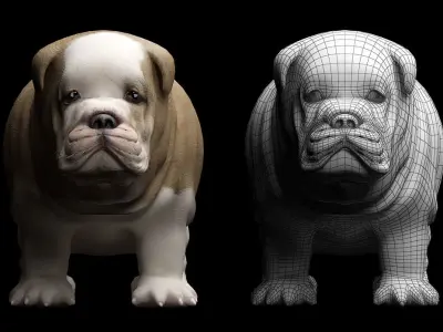 DOG puppy 3D model