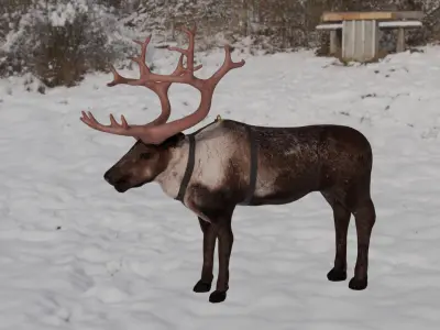 Reindeer Low-poly 3D model