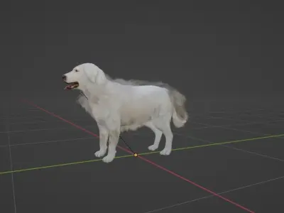 Great Pyrenees Patou Dog 3D model