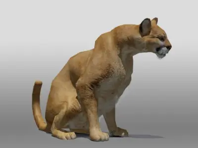 Mountain Lion 3D model