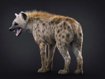 Hyena RIG Xgen core 3D model