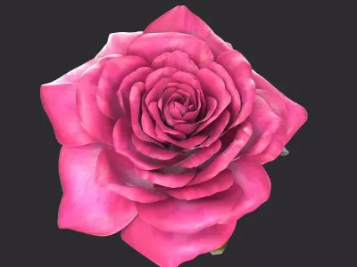 Red Rose 3D model