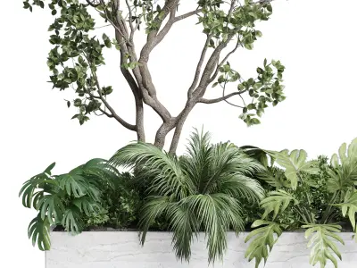 Stand plant in box garden indoor plant 130 3D model