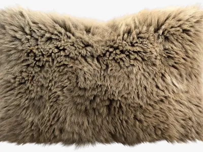 Fur pillows set 3 3D model