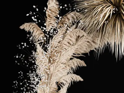 Wedding Arch Made Of Dried Flowers Pampas Grass 3D model