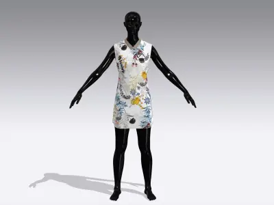 Woman Cloth Dress Low-poly 3D model