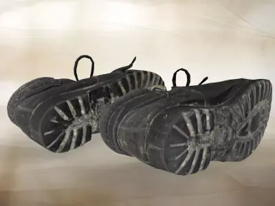 A pair of used Mountaineering shoes037 3D model
