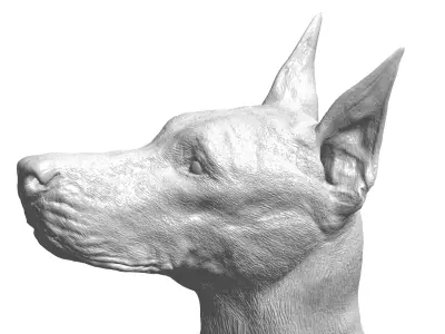 DOBERMAN 3D model
