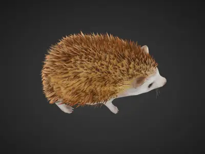 Hegdehog Stylized Yellow 3D Character Low-poly 3D model