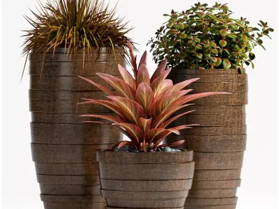 Decorative plant set-66 3D model