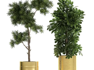 Ornamental plants in a chrome flowerpot 784 3D model